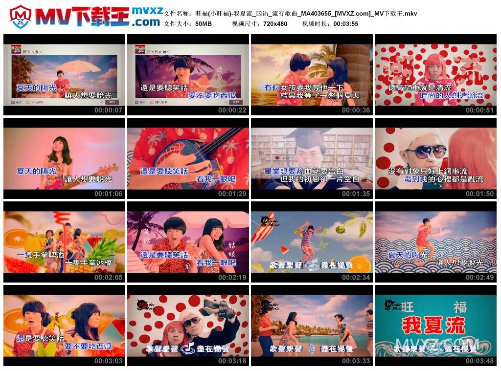 旺福(小旺福)-我夏流_国语_流行歌曲_MA403655